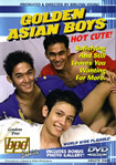 Golden Asian Boys (Gay Asian Porn)